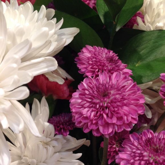 Meet your Posher, Valerie - Picture 1 of 1